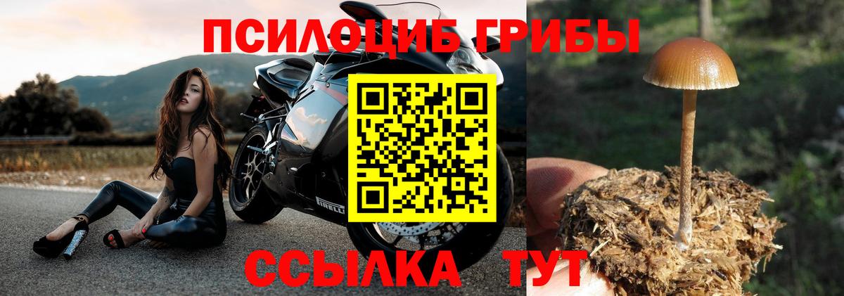 Галлюциногенные грибы прущие грибы Беслан