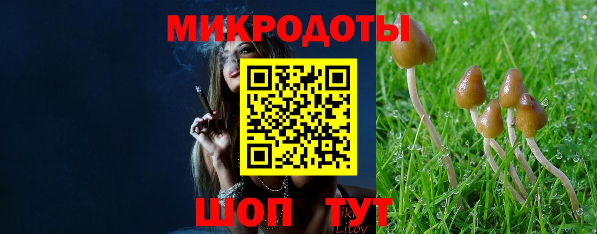 Галлюциногенные грибы GOLDEN TEACHER  Вход с VPN  Беслан 